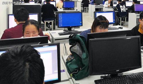 2021高考志愿填報 網(wǎng)絡(luò)與信息安全與軟件開發(fā)——最靠譜的專業(yè)選擇