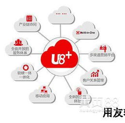 福州益友軟件 安全可靠的福建用友開(kāi)發(fā)商，專注于網(wǎng)絡(luò)與信息安全軟件開(kāi)發(fā)